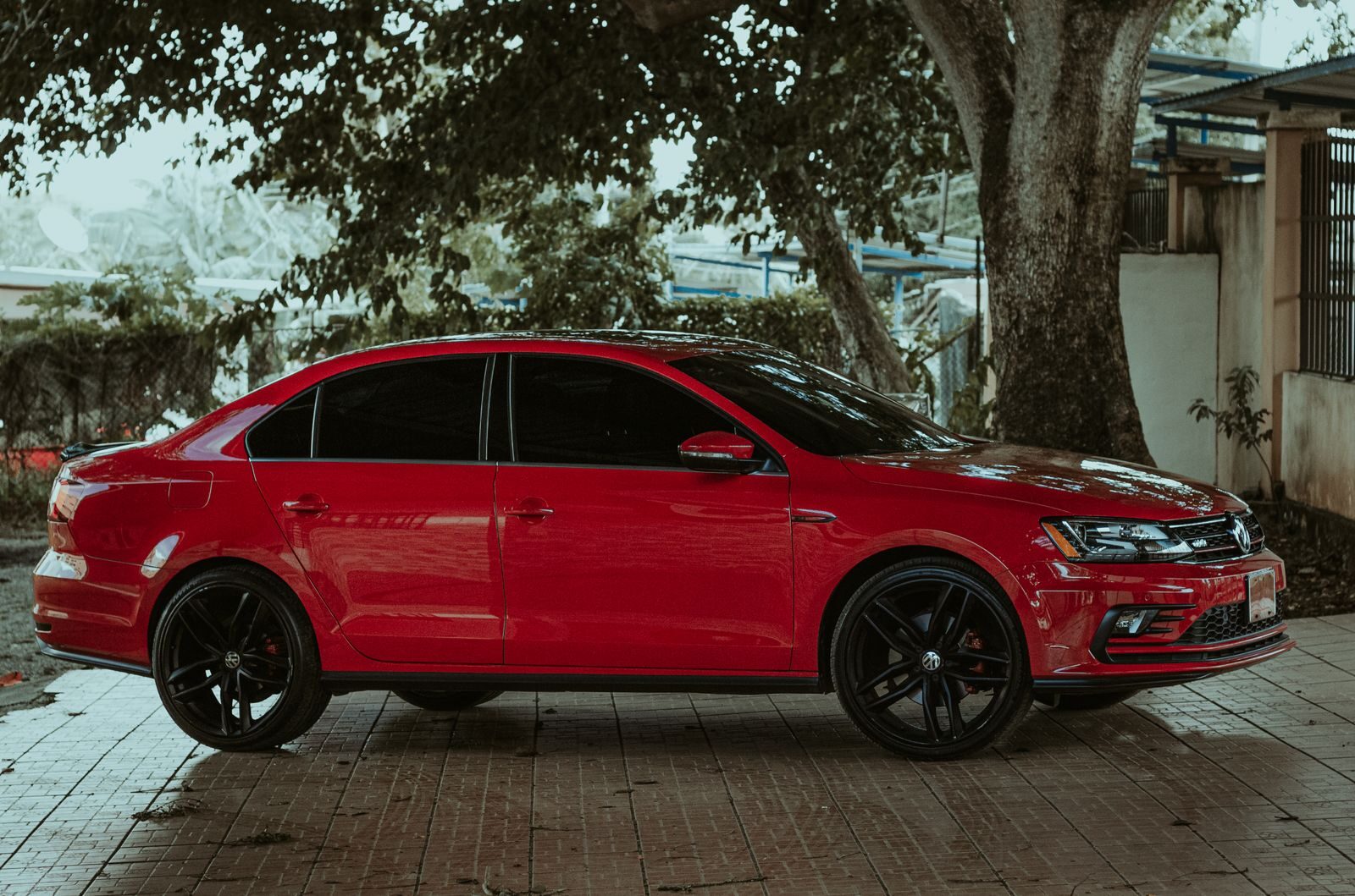 A striking red sedan parked under a tree on a paved surface, exuding style and elegance.